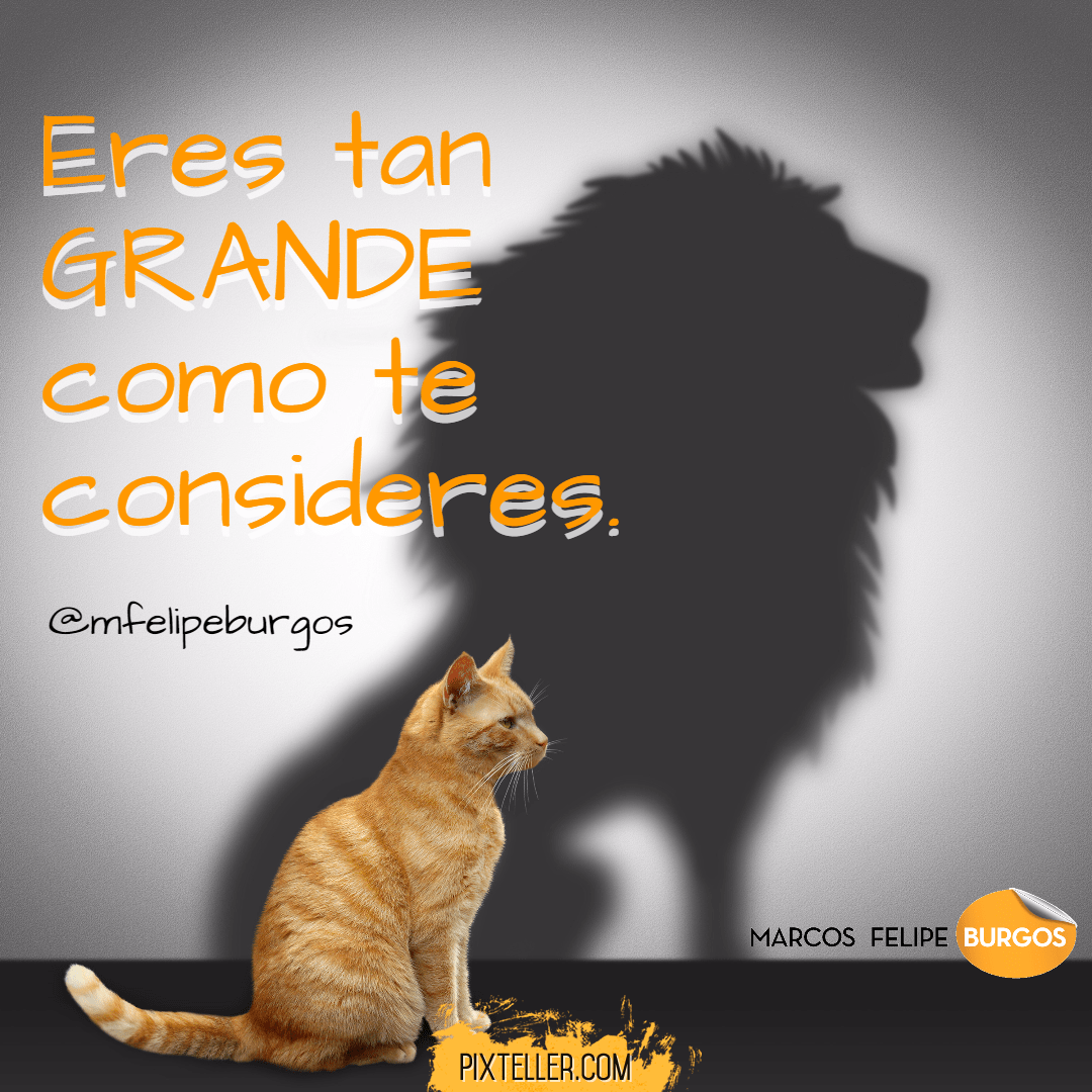 Pensamientos Marcos Felipe Burgos 4 Design 