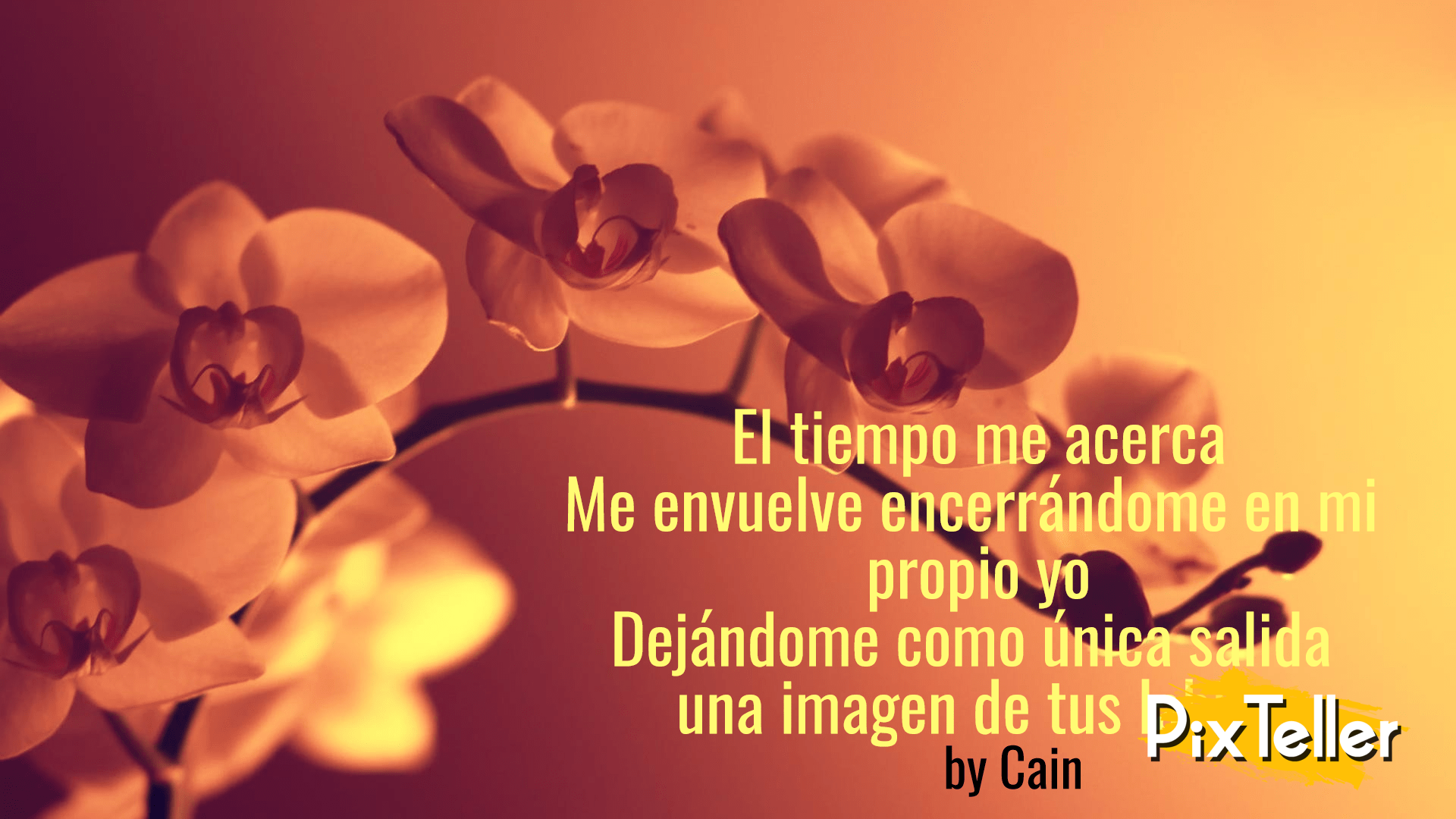 23 Imagenes De Rosas Rojas Con Frases De Amor Romanticas Agua Imagenes Hermosas Con Flores Y Dedicatorias De Amor Para Compartir