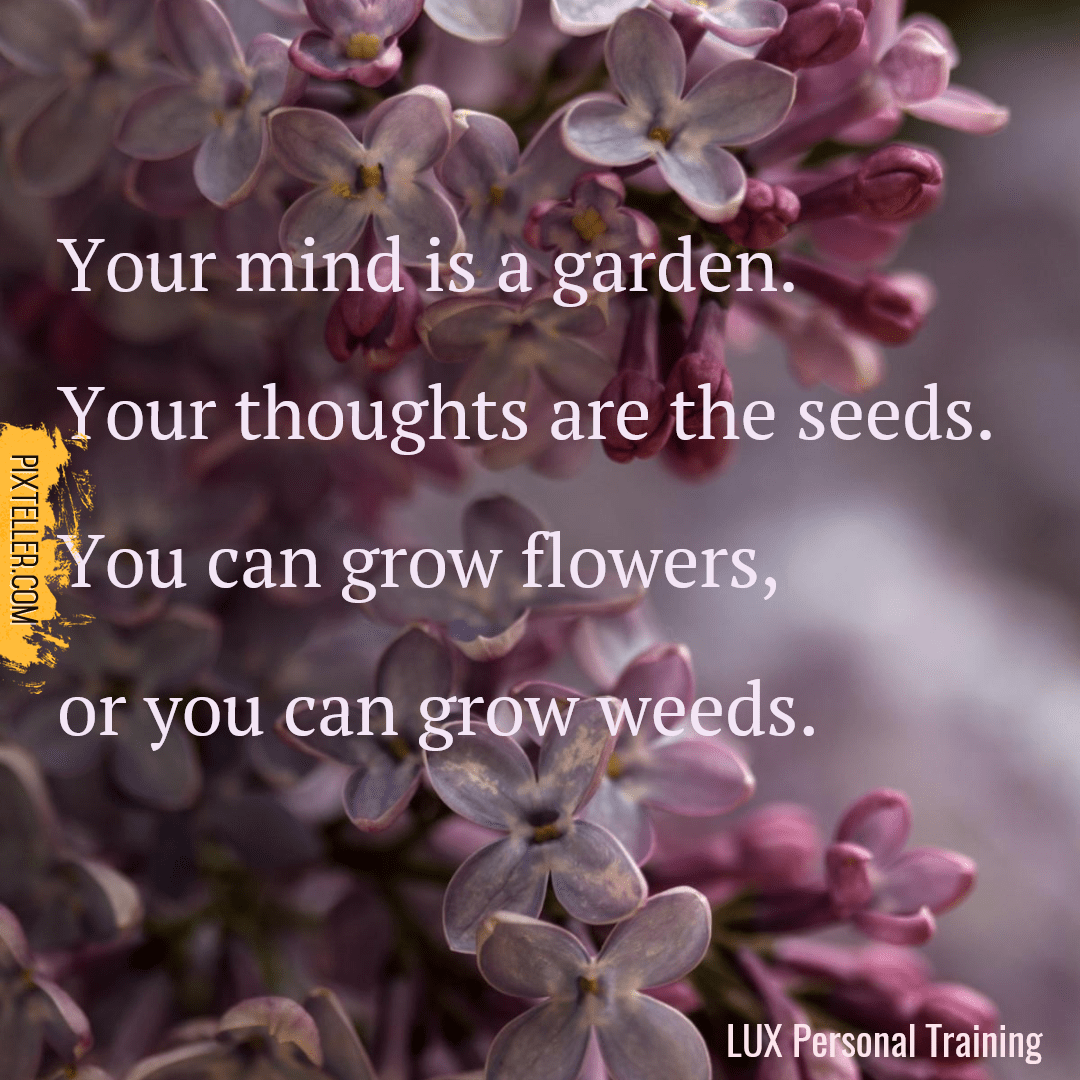 Mind is a Garden Design 