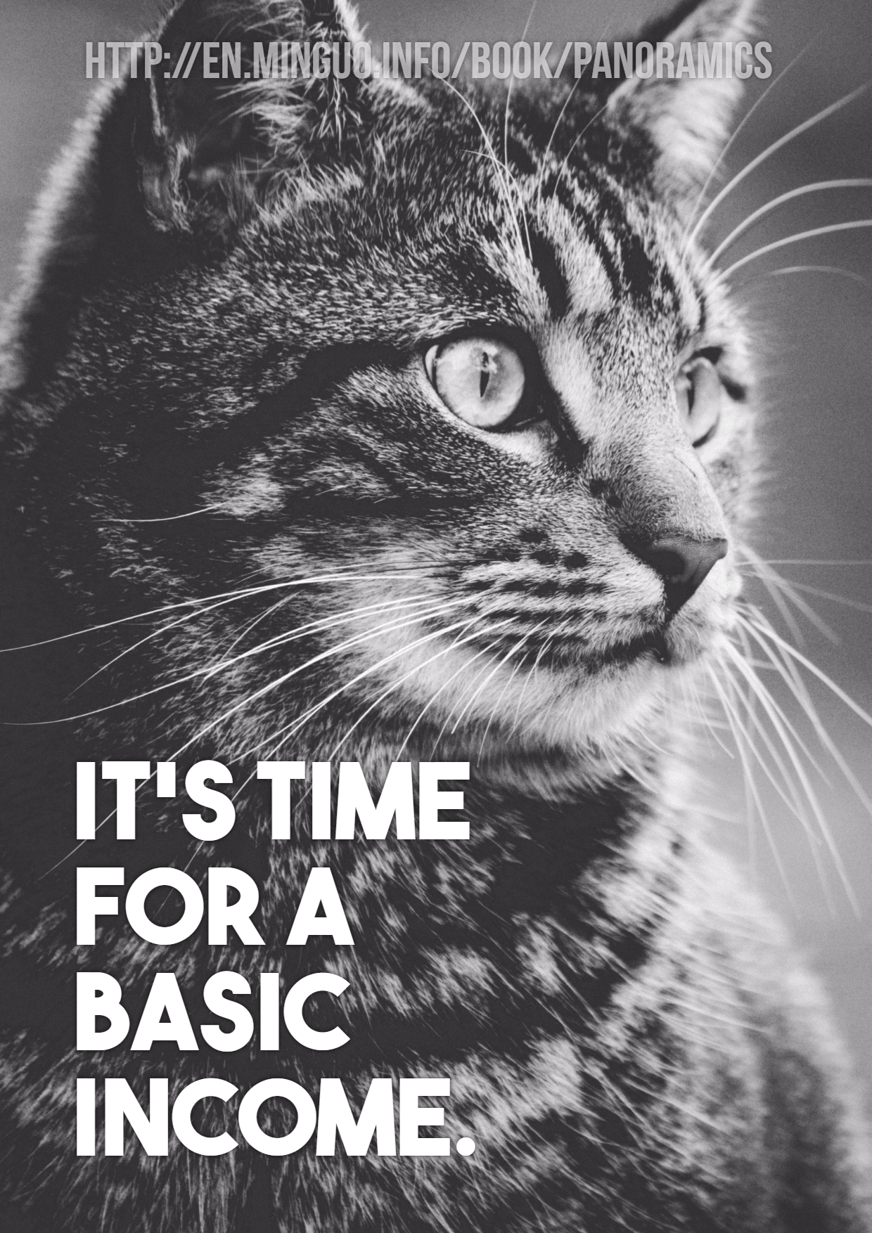 Basic Income Cat Design 