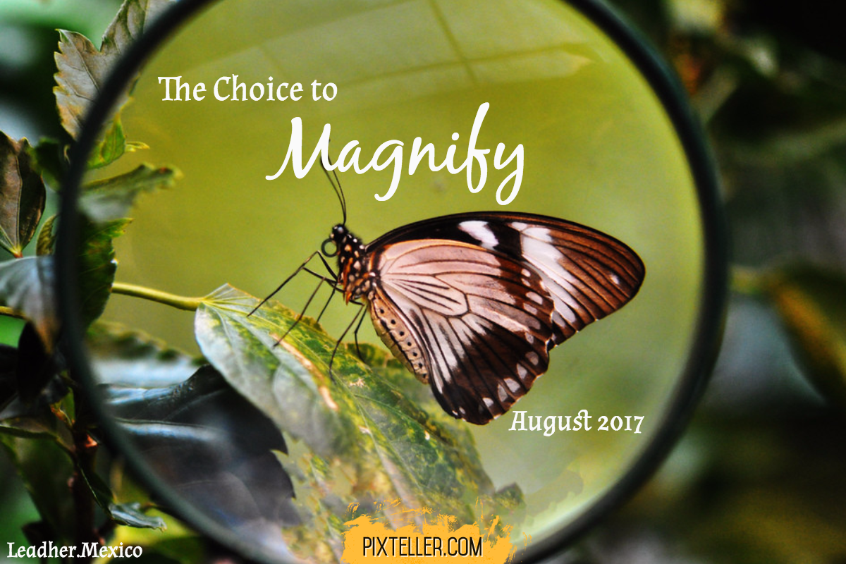 the choice to magnify Design 