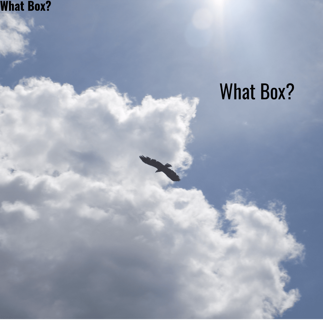 What Box Design 
