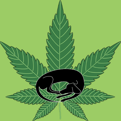 marijuana toxicty Design 