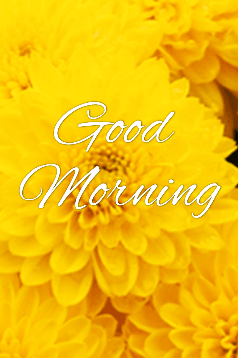 #goodmorning #yellow Design 