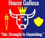 Gallosa Banner Design 