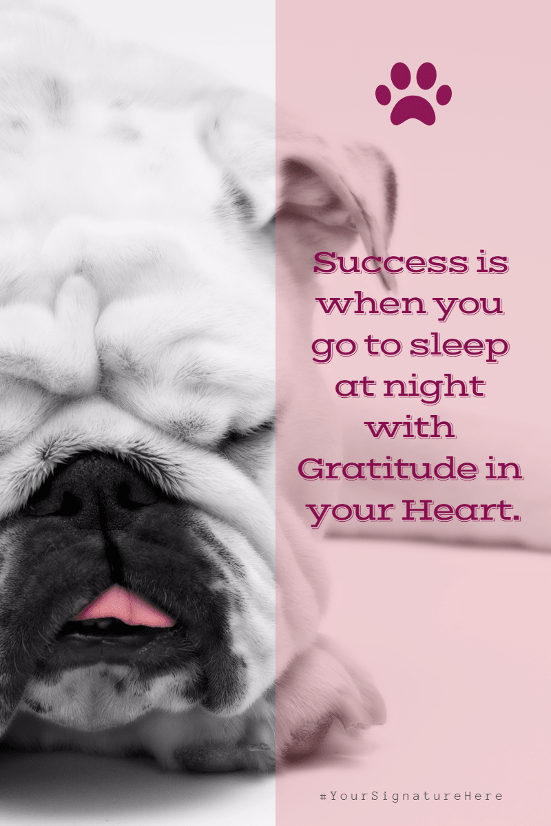 success puppy #funny #avatar #poster Design 