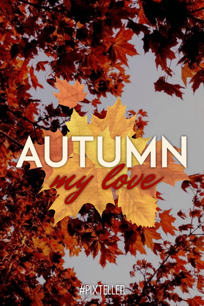 #autumn #quote #poster #fall  Design  Template 