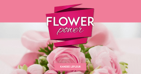 #poster #flower #pink #promotion
