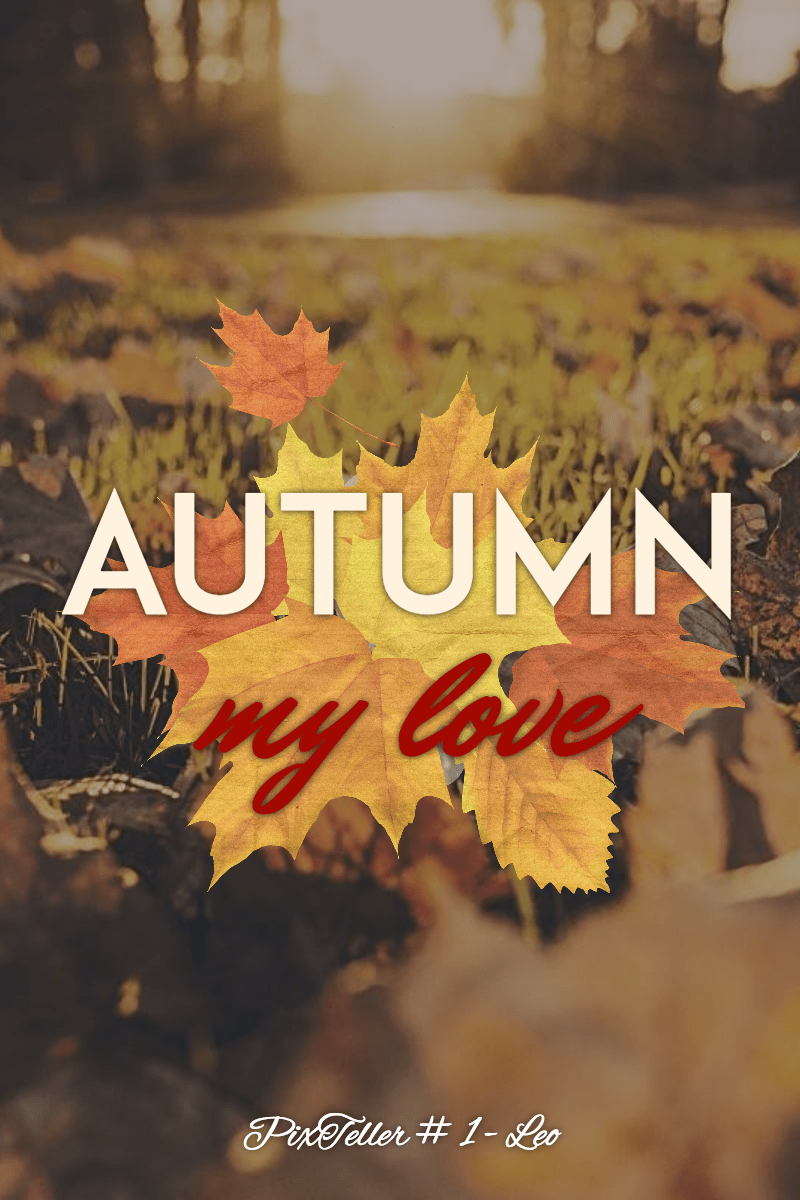 #autumn #quote #poster #fall  Design 