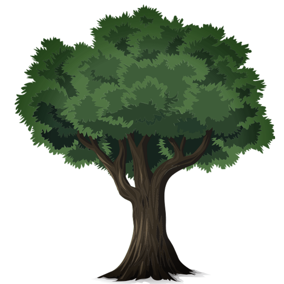Oak_Tree Design 