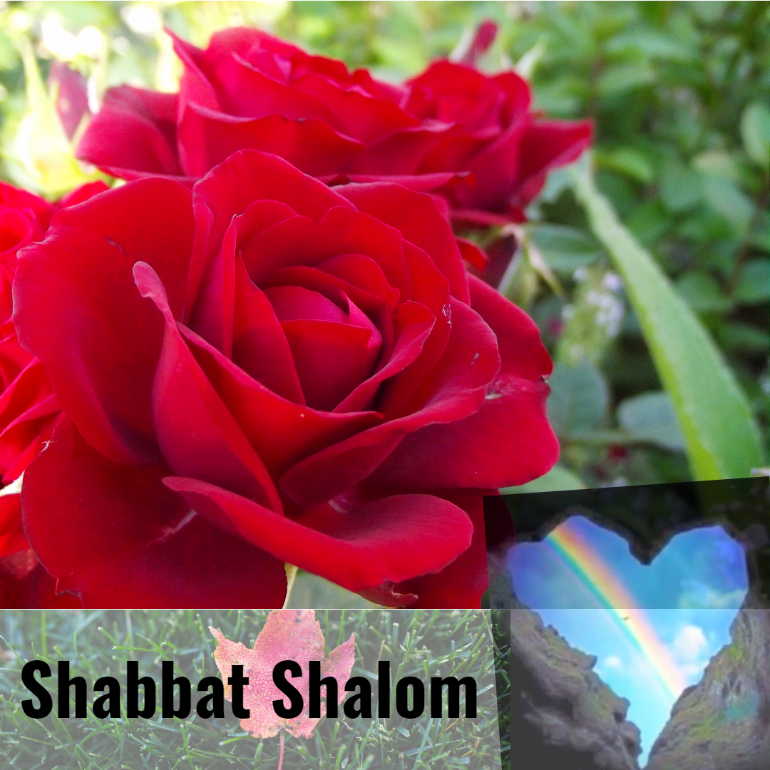 Shabbat Shalom 101417 Design 