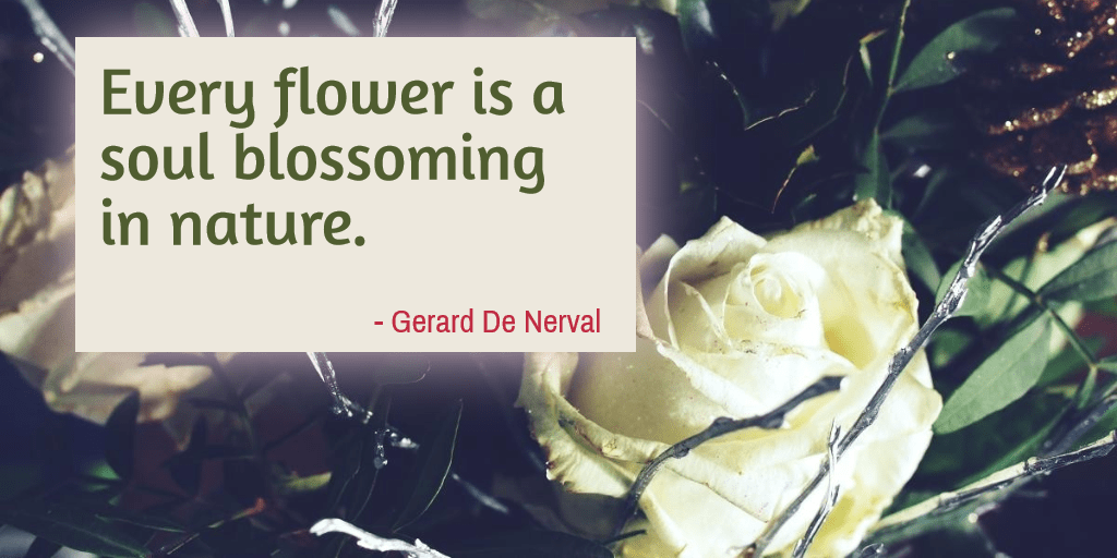 #poster #flower #quote #simple Design 