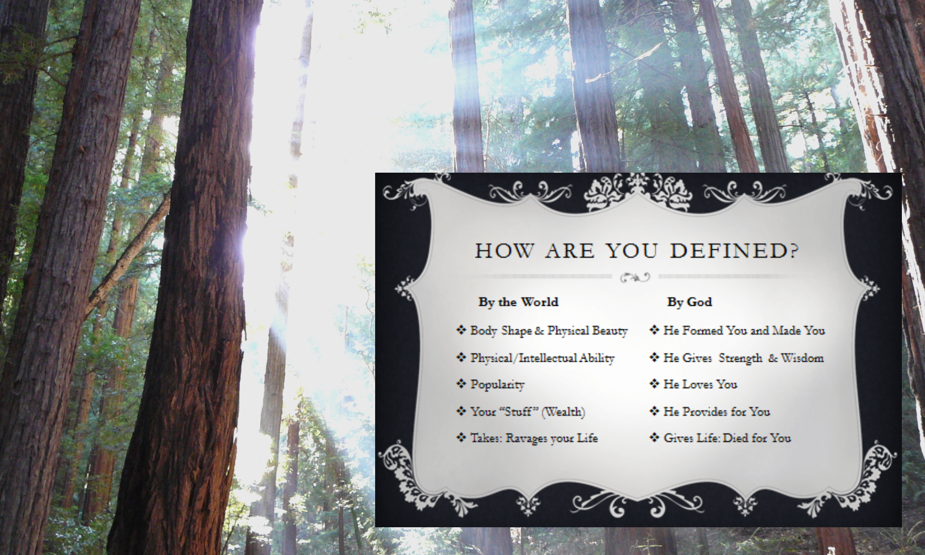 How are you defined with trees Design 
