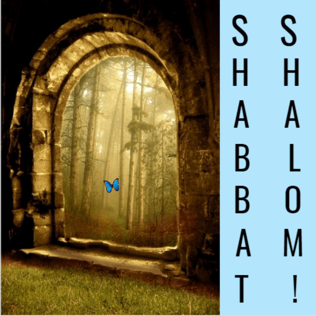 shabbat shalom Design 