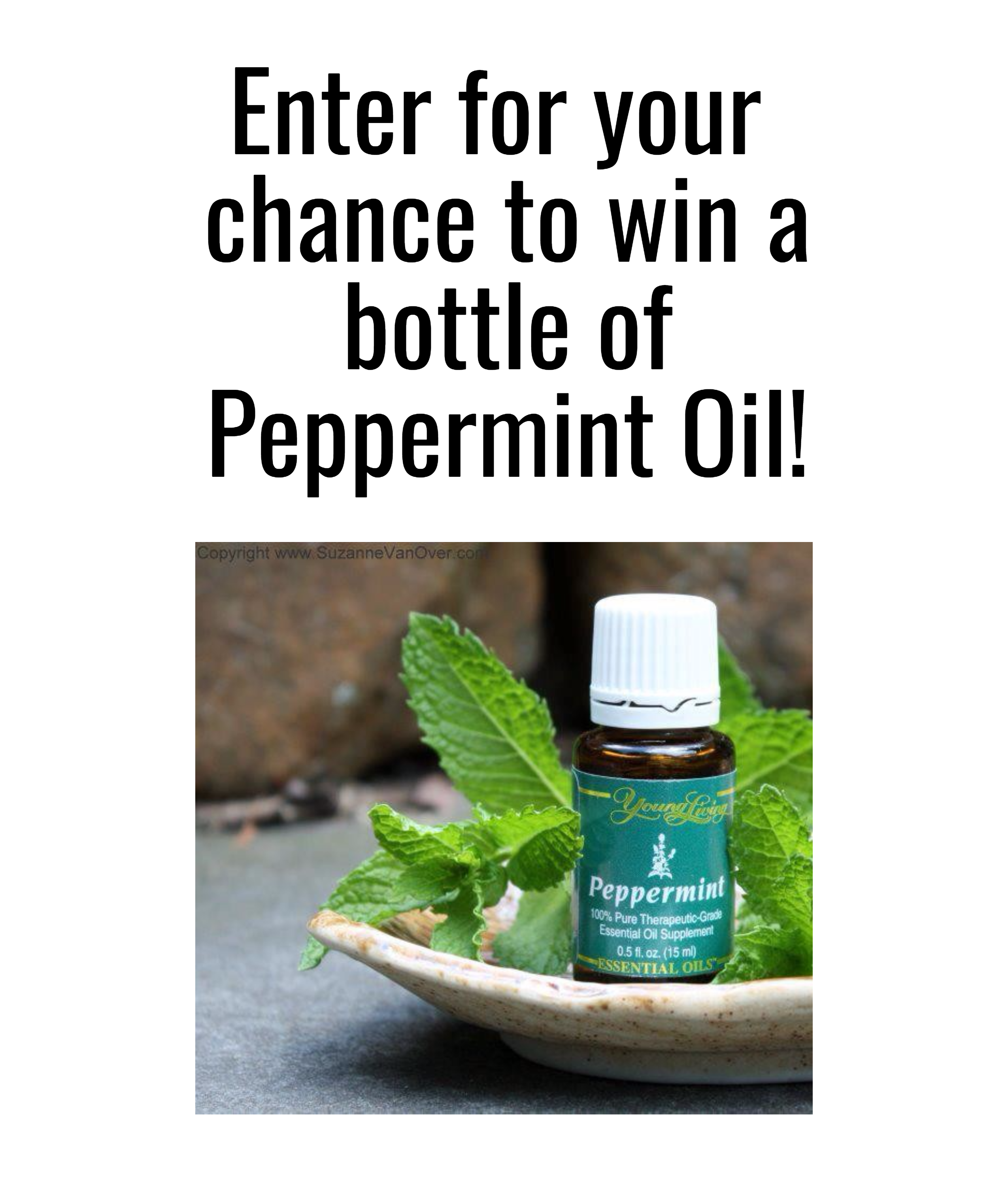 Win Peppermint Oil Design 