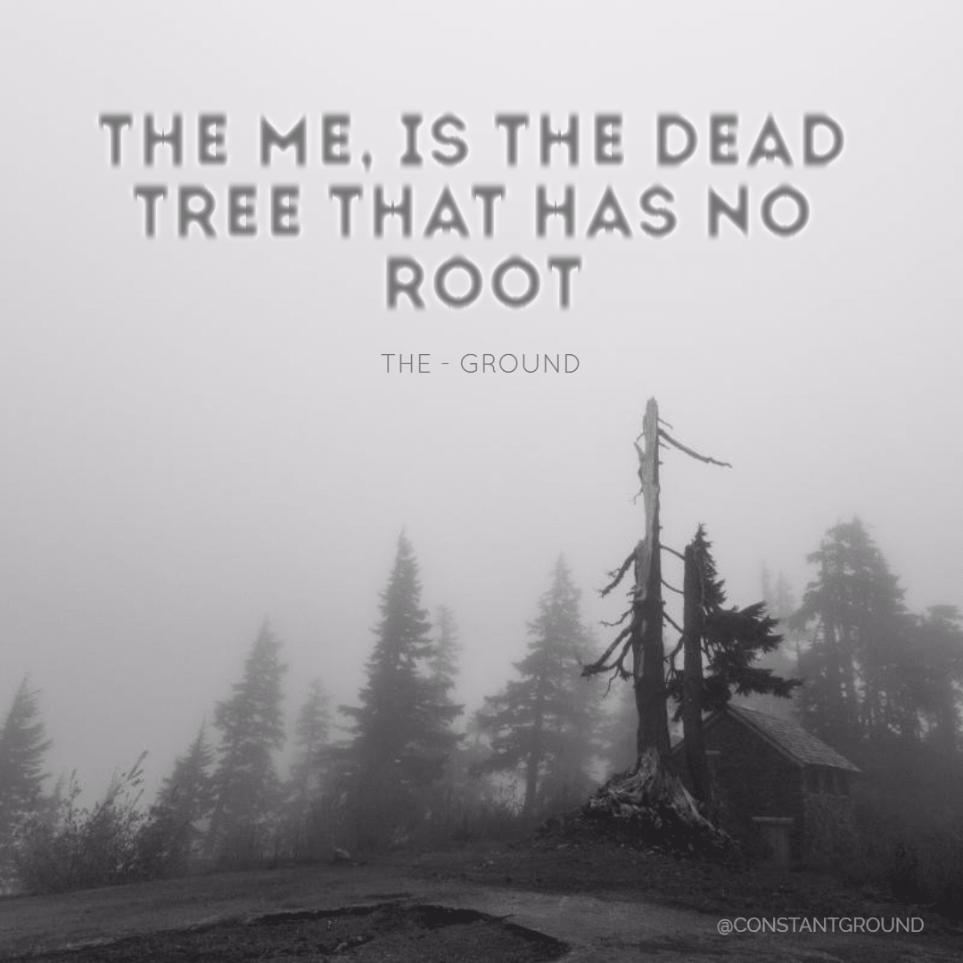Dead_Root_Ground Design 