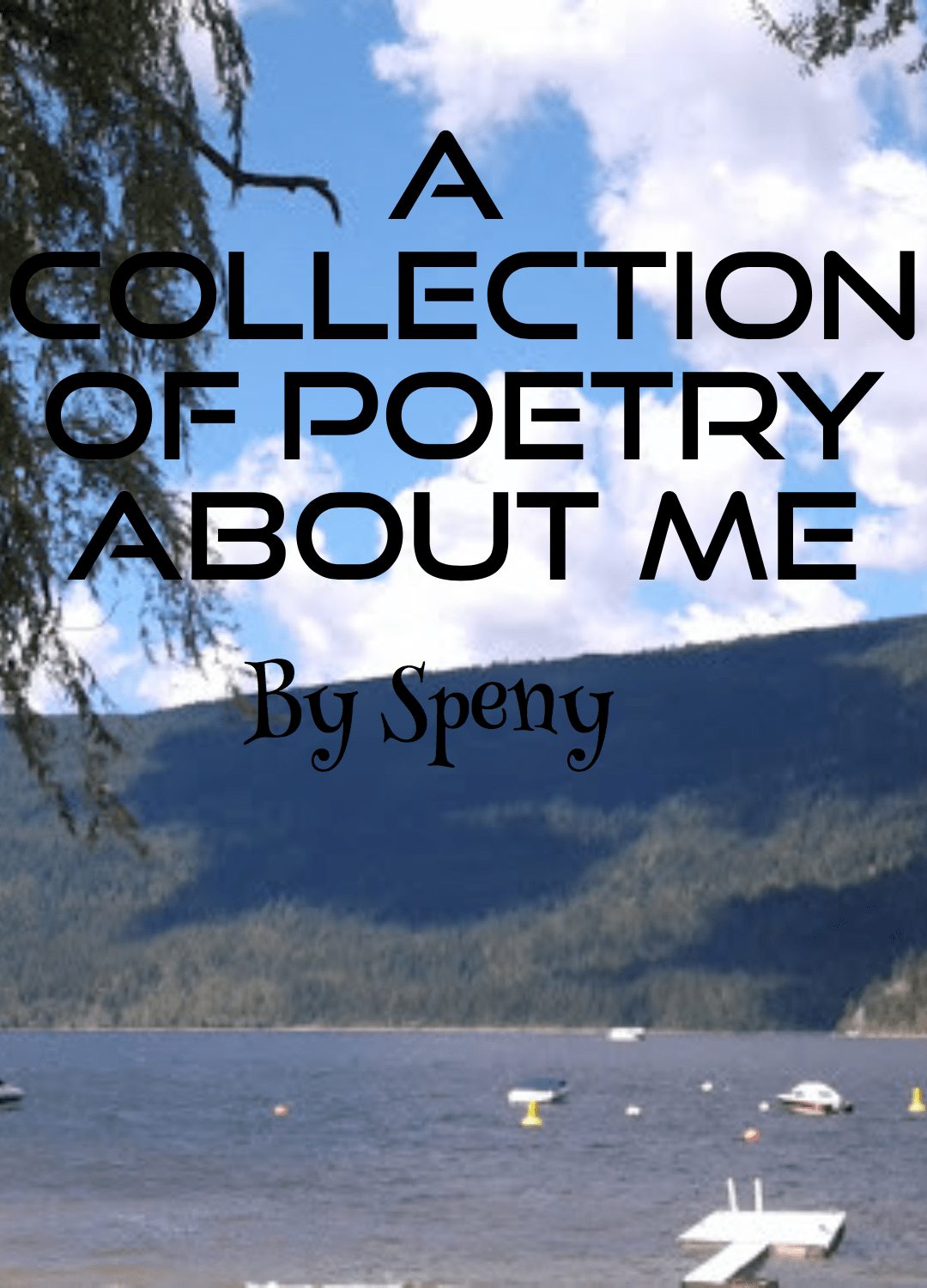 Poetry Anthology Design 
