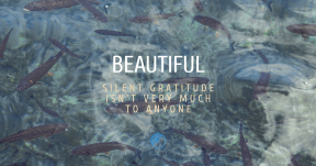 Quote Card Design - #Quote #Saying #Wording #symbol #product #underwater #blue #text #organism #fish #water