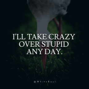 Square design layout - #Saying #Quote #Wording #crane #white #stork #like #beak #bird #with