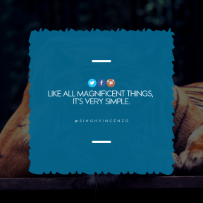 Square design layout - #Saying #Quote #Wording #product #jagged #beak #text #aqua