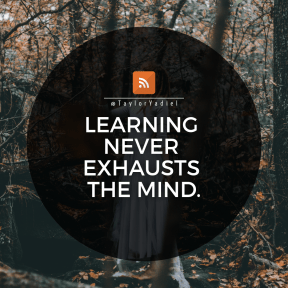 Square design layout - #Saying #Quote #Wording #girl #product #design #branch #circle #orange #woodland