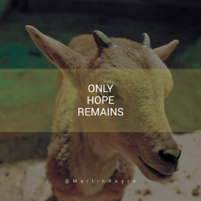 Square design layout - #Saying #Quote #Wording #wildlife #horn #goats #snout #antelope #goat