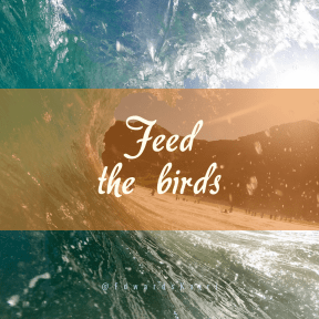 Square design layout - #Saying #Quote #Wording #coastal #shore #O'ahu #sea #riding #point #Surfer's