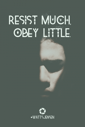 Poster Saying Layout - #Quote #Wording #Saying #with #facial #headtype #half #hair #face #black #nose #darkness