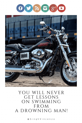 Quote image - #Quote #Wording #Saying #beak #skin #line #brand #circle #wallpaper #bird #red