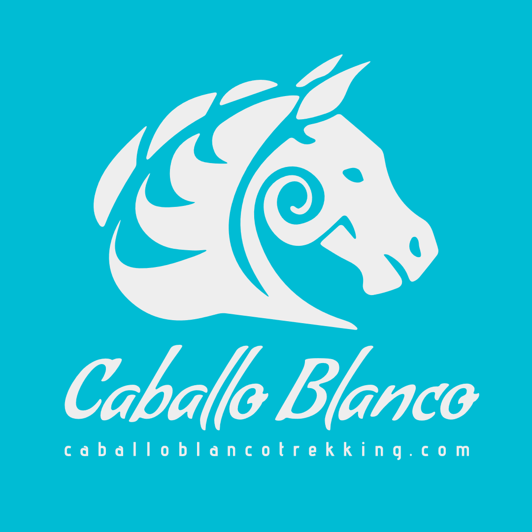 Caballo Blanco Logo Design Design  Template 