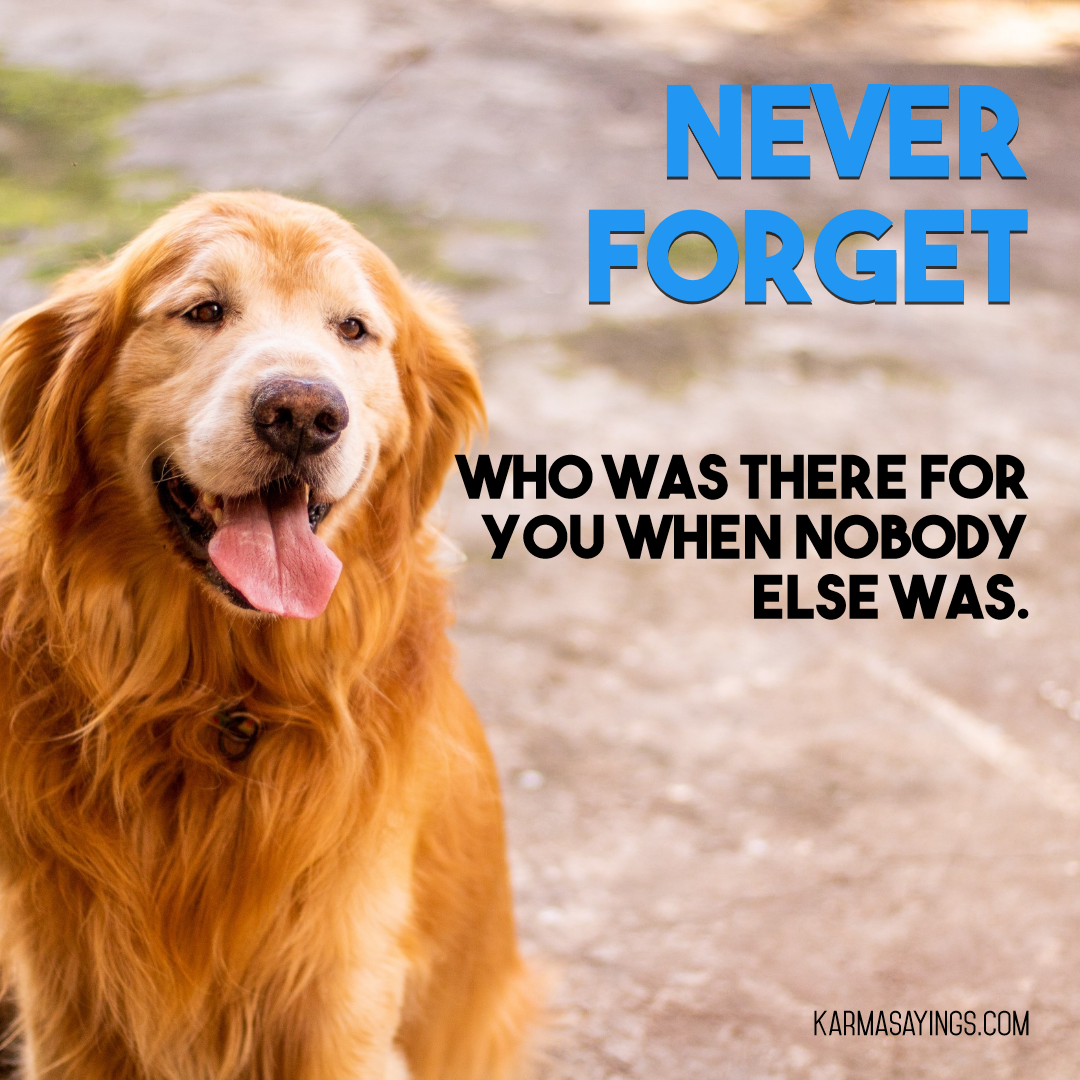 Never forget who was there for you Design  Template 