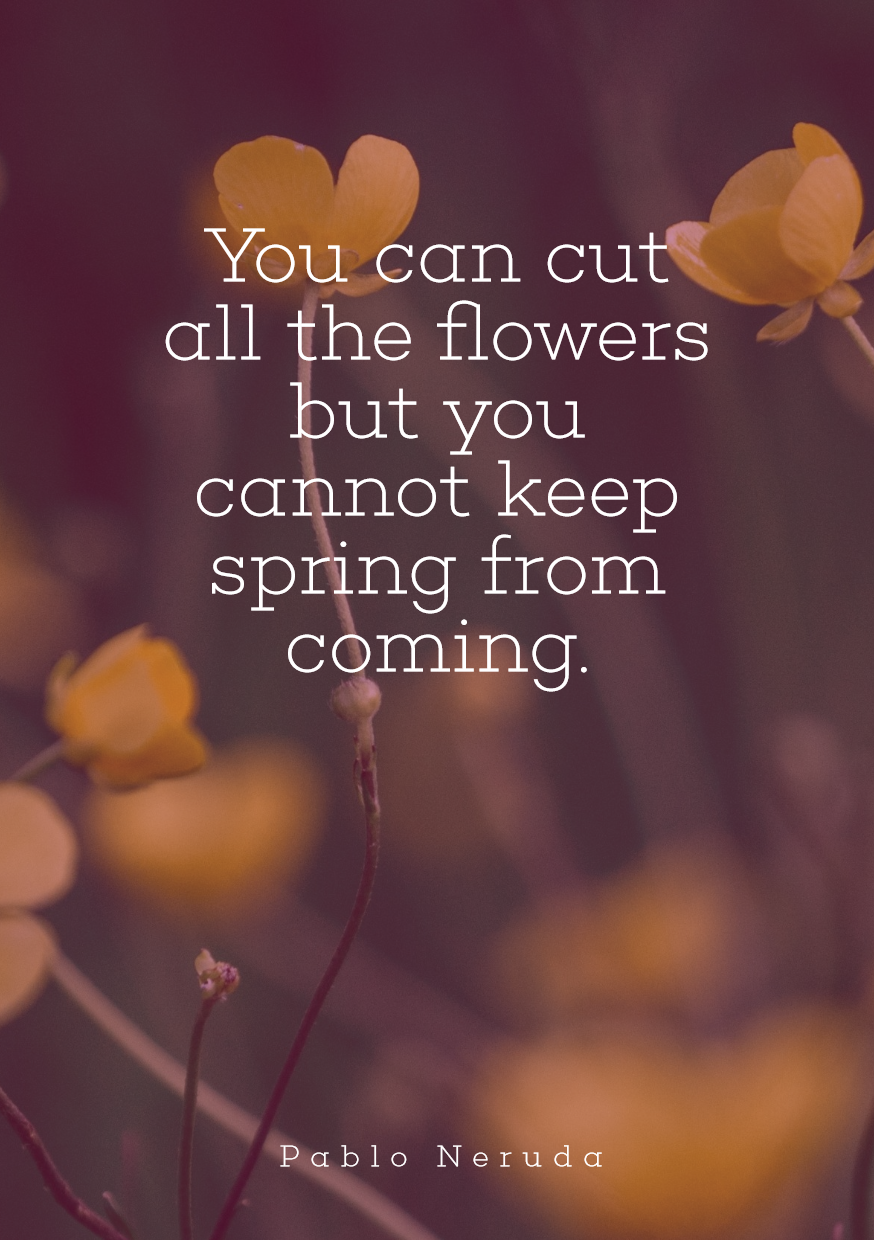 Spring Simple Quote Design - #quote Design  Template 