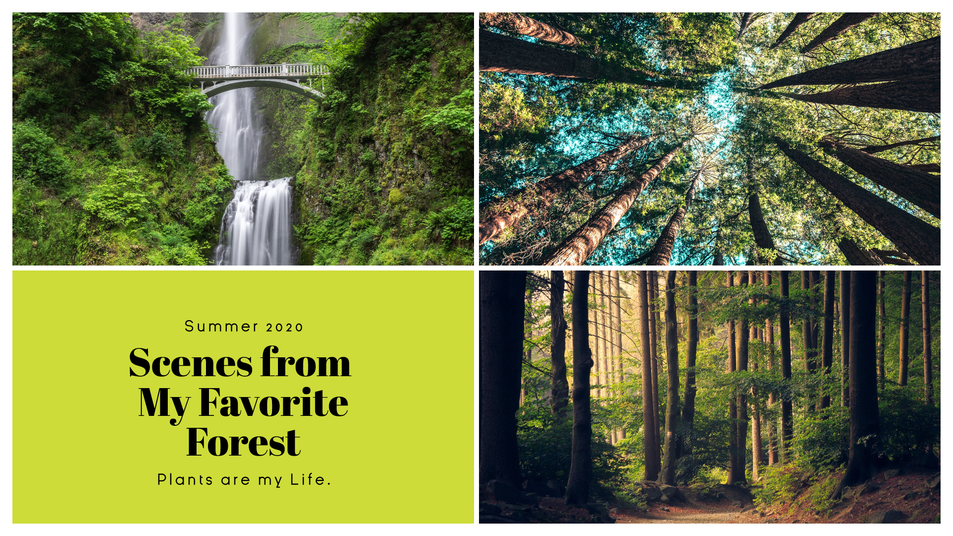 Green Nature Photo Book Collage Easy Design  Template 