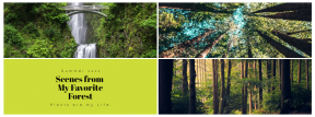 Green Nature Photo Book Collage Easy to Use and Customize