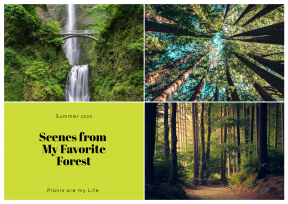 Green Nature Photo Book Collage Easy to Use and Customize