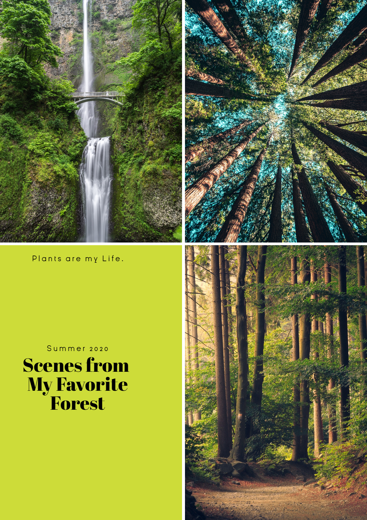 Green Nature Photo Book Collage Easy Design  Template 