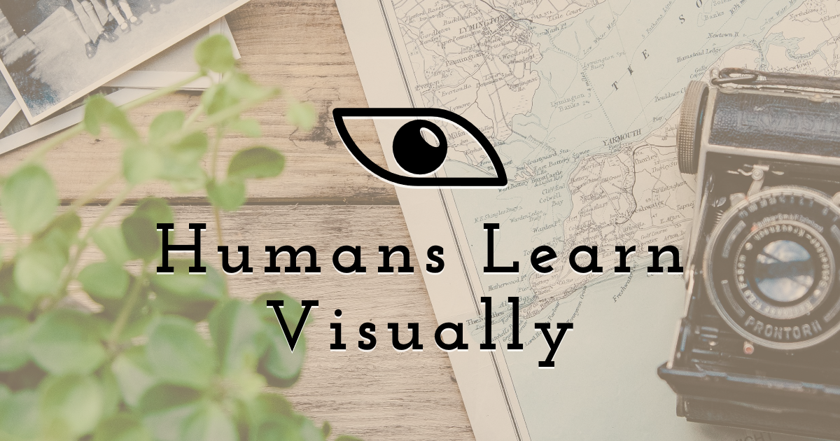 Humans learn visually