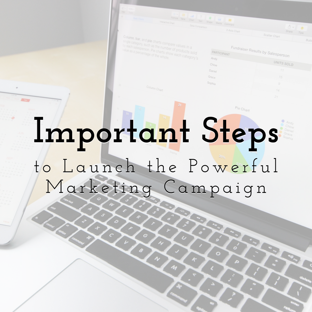 Important Steps to Launch the Powerful Marketing Campaign