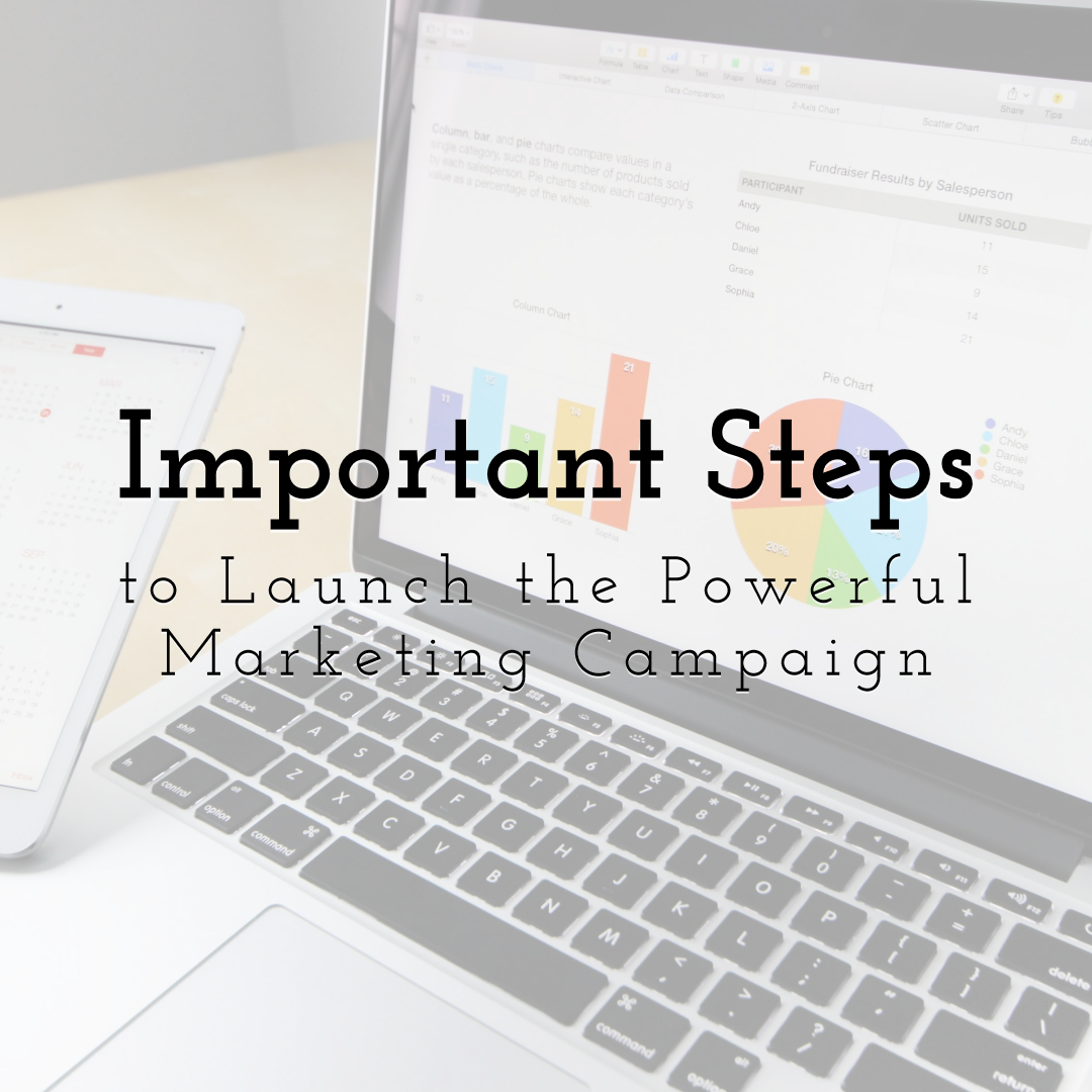 Important Steps to Launch the Powerful Marketing Campaign 