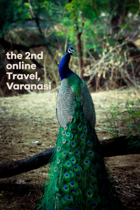 Varanasi Tours & Travel - the perfect tourism