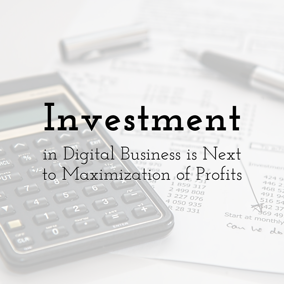 Investment in Digital Business is Next to Maximization of Profits