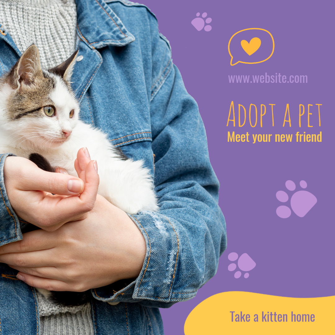 Adopt Cat Pet Animation  Template 