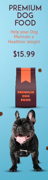 Dog Food Premium Pet Food Design  Template 
