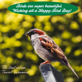 National Bird Day 2021 , January 5