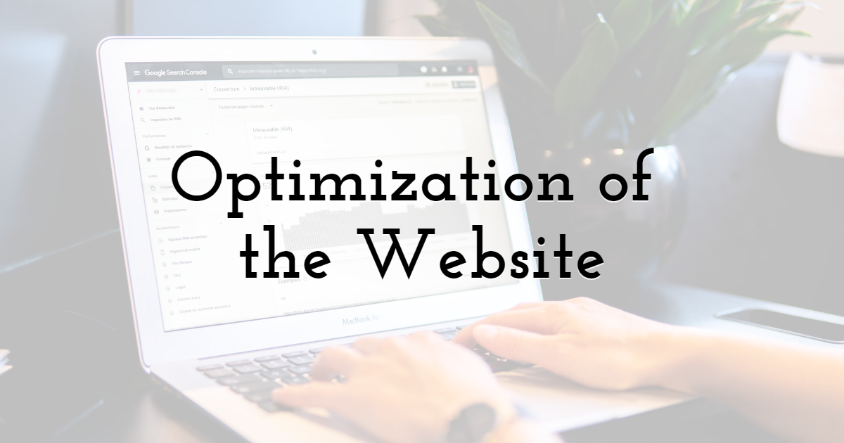 Optimization of the Website