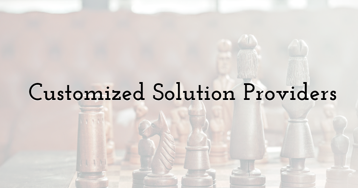 4. Customized Solution Providers