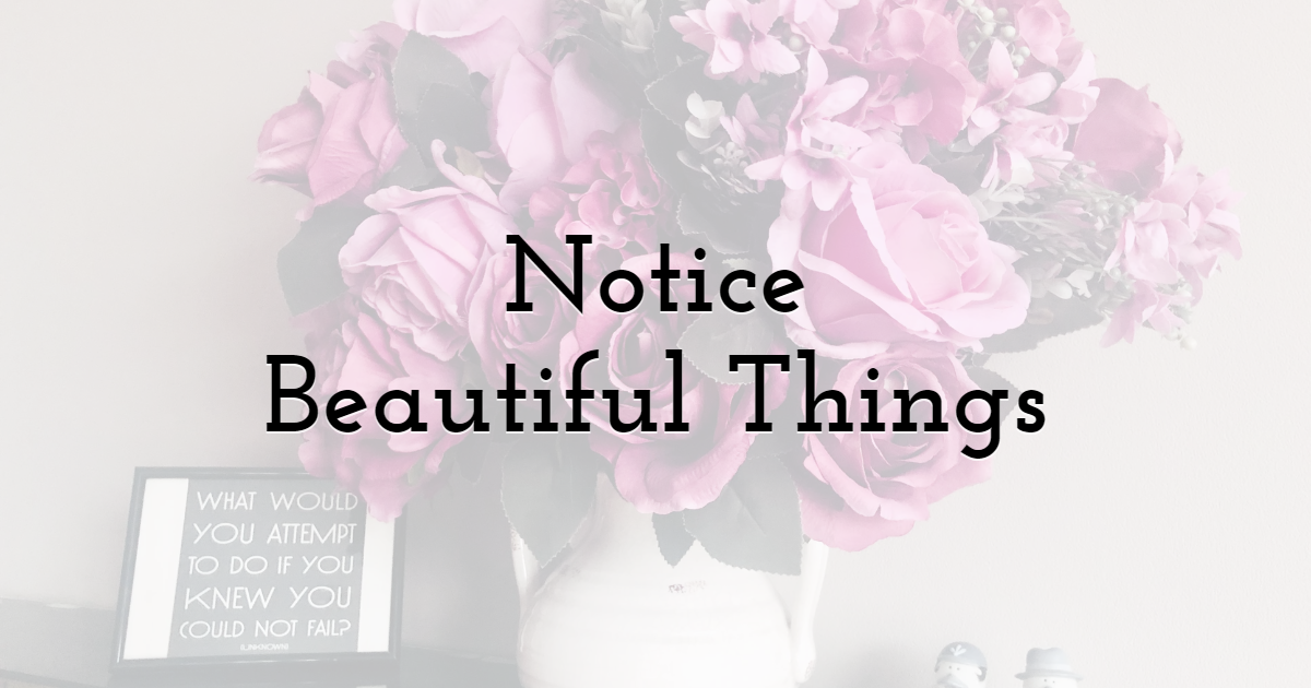 Take Your Time to Notice Beautiful Things