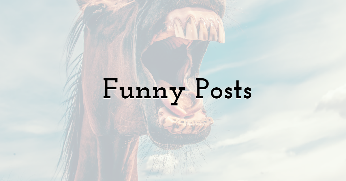 Funny Posts