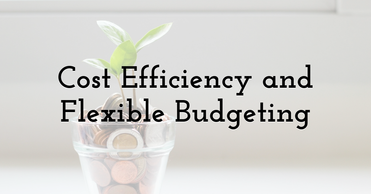 Cost Efficiency and Flexible Budgeting