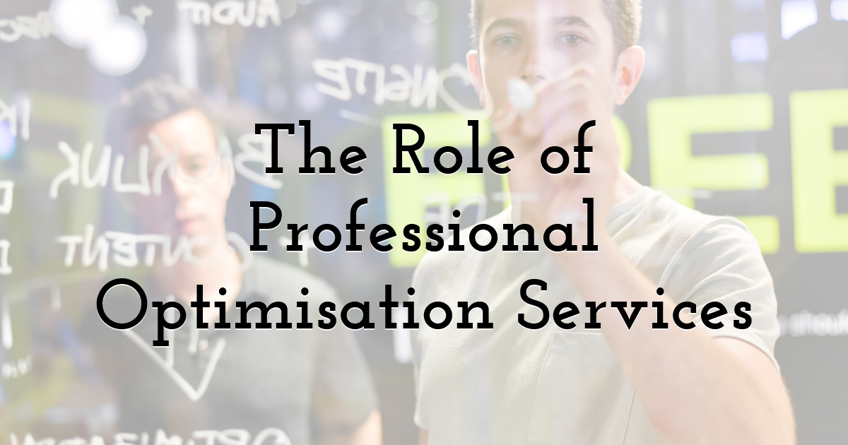 The Role of Professional Optimisation Services